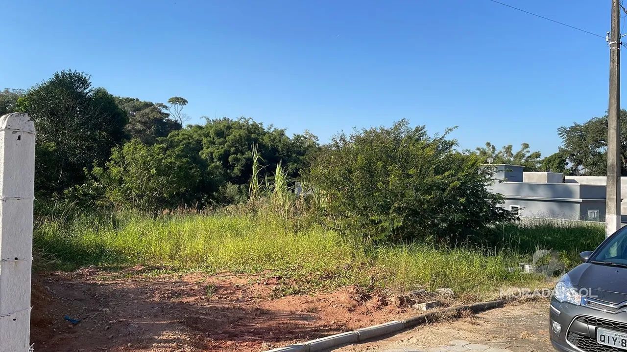 Terreno em porto do moura - Canelinha - Foto 4