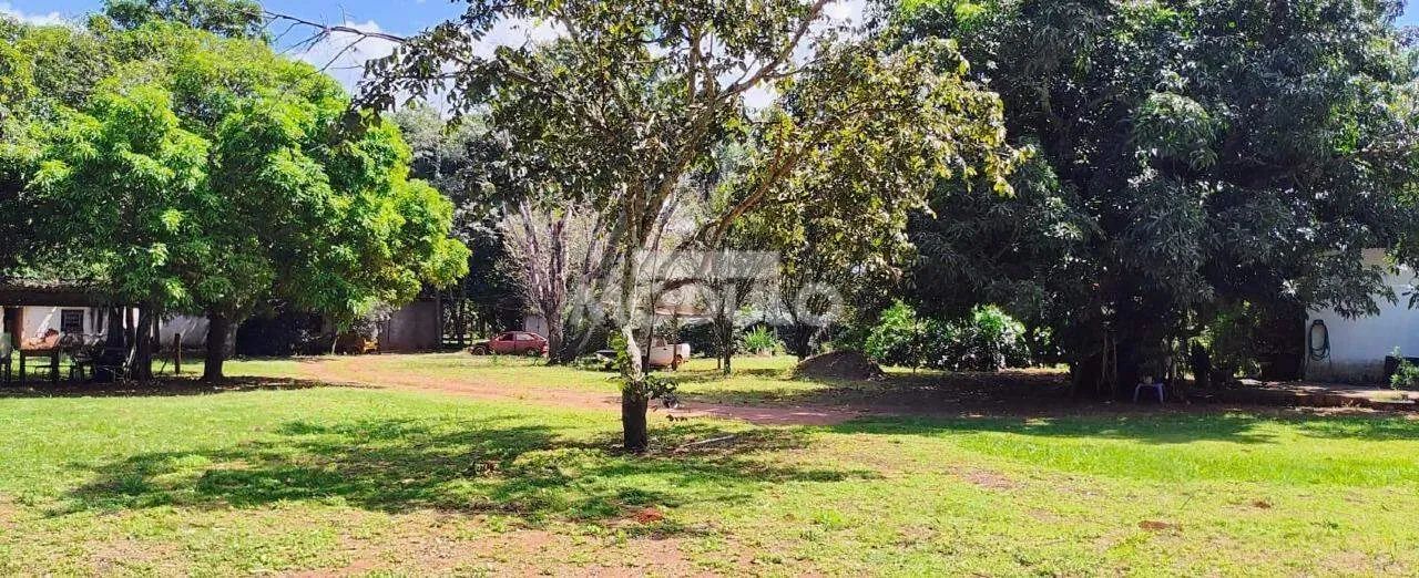 Chácara a venda no Panorama com 5 mil m² - Foto 5