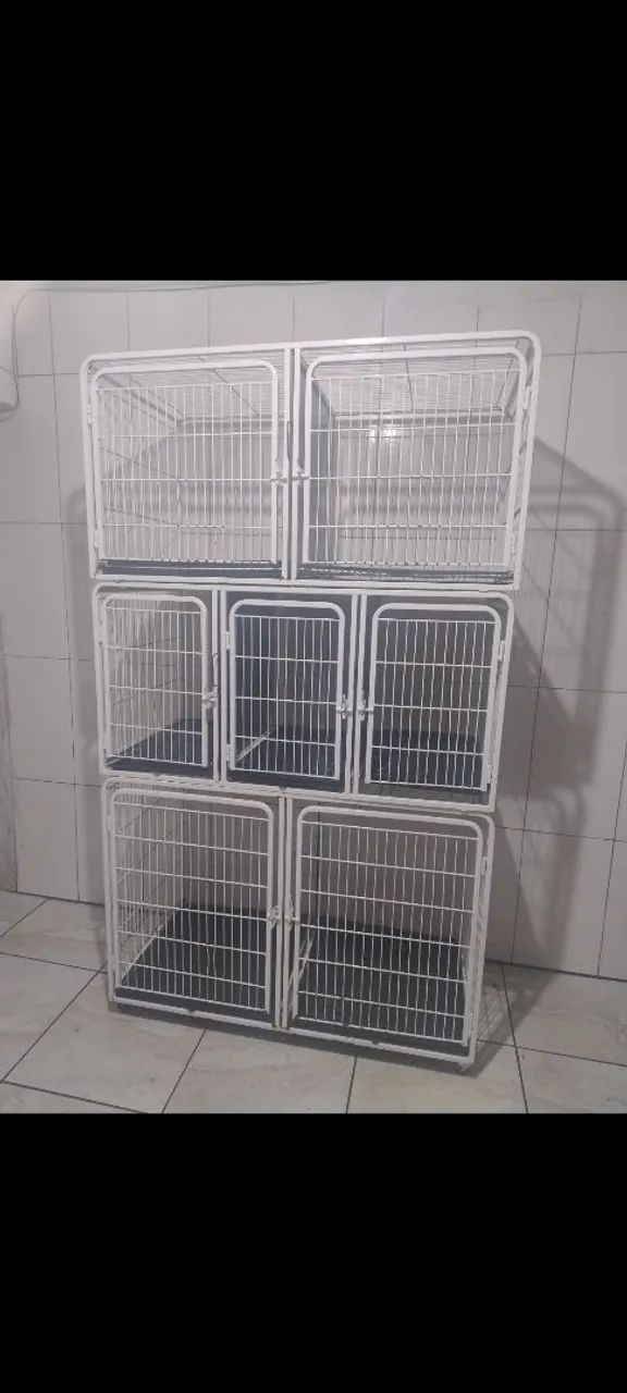 Kit banho e tosa  - Foto 2