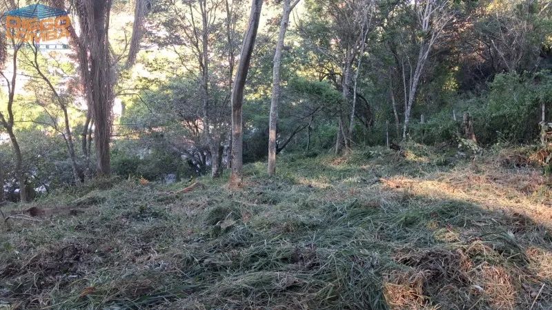 Terreno - Florianópolis SC - Foto 4