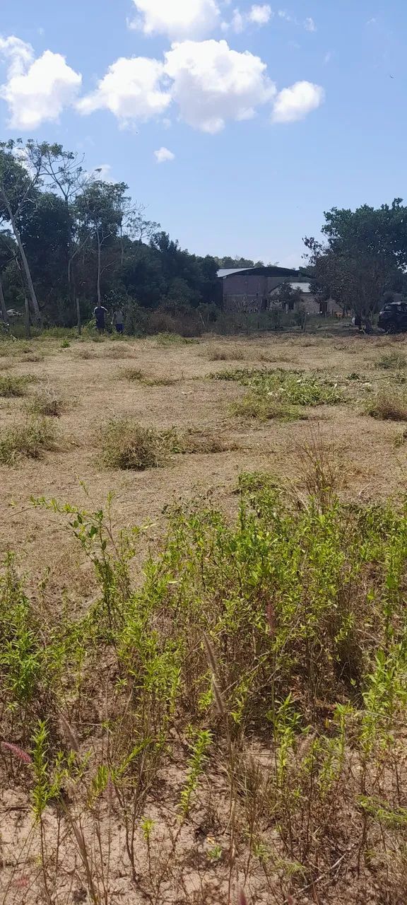 Vendo 2 terrenos 10x30 cada - Foto 3