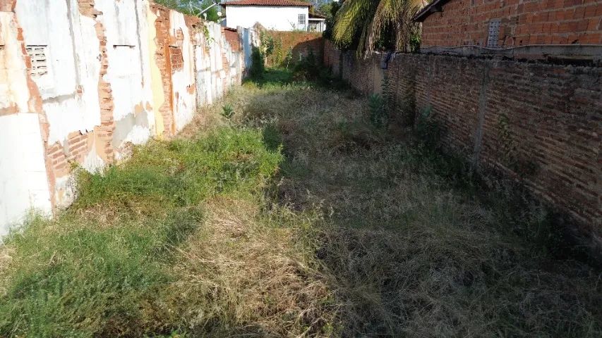 Terreno no Bairro Cidade Nova, Rua México, com 252 M2 - Foto 5