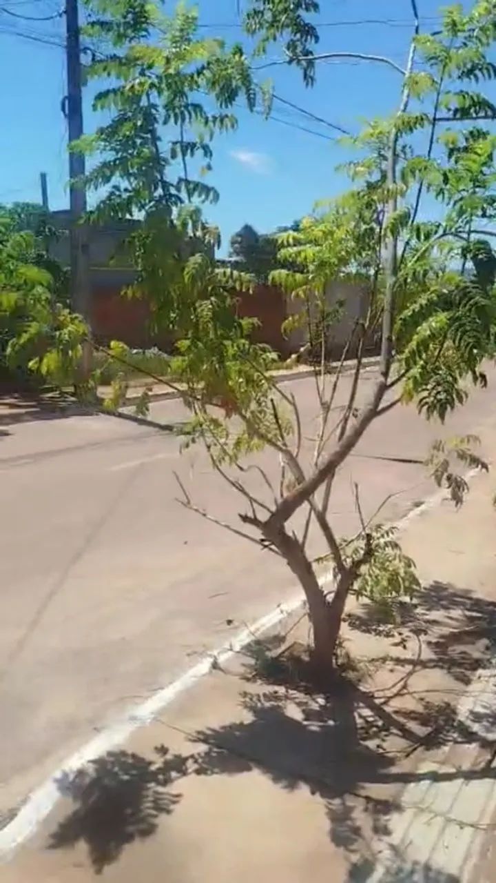 Terreno de 10=20 com  2 kitinete  pronta e alugada - Foto 2