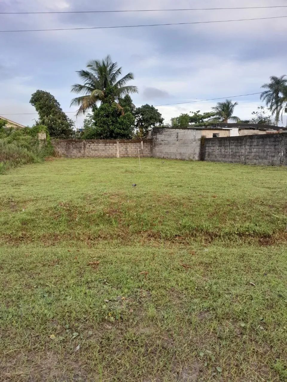 Foto -  - 