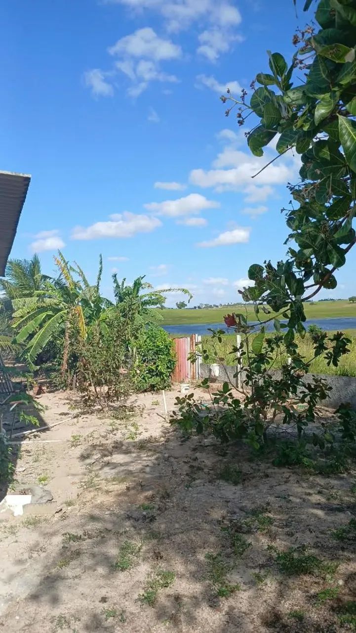 Vendo esse sítio fica na cidade de riachão do poço pb - Foto 2