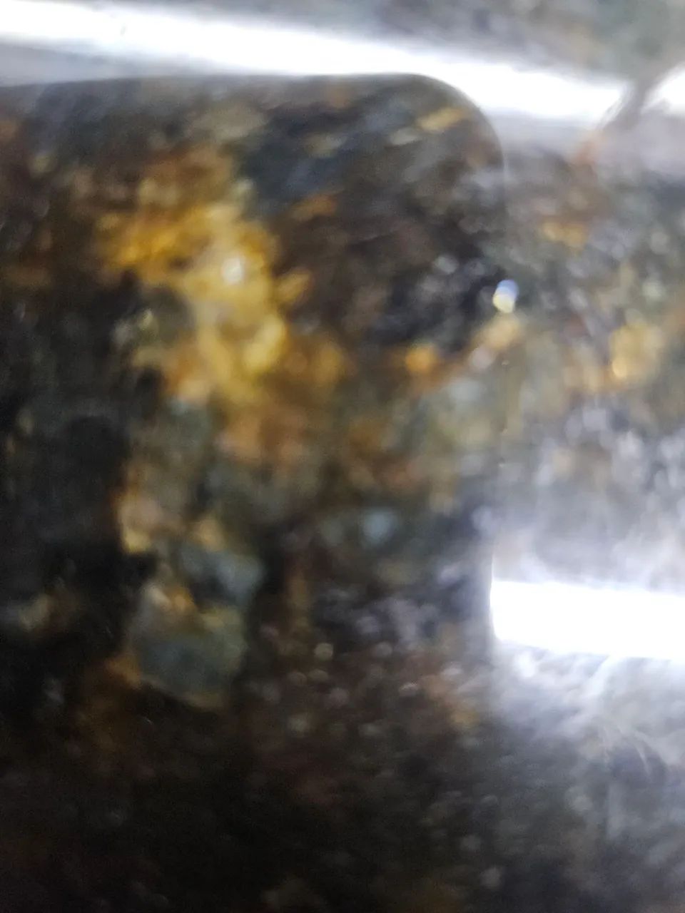 Tyop
