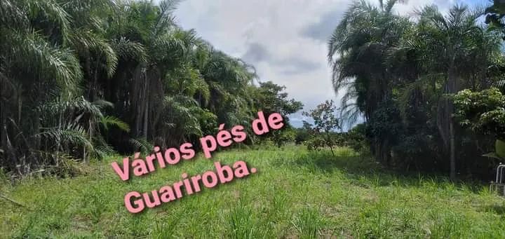 Chácara/Sítio próximo a Nova Veneza - Goiás - Foto 5
