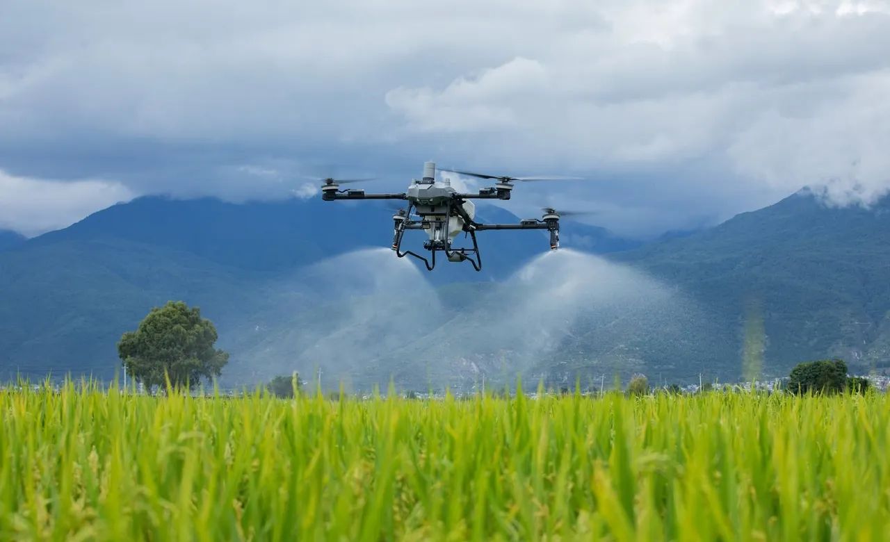 DRONE AGRÍCOLA - PULVERIZAÇÃO E ADUBAÇÃO  - Foto 2