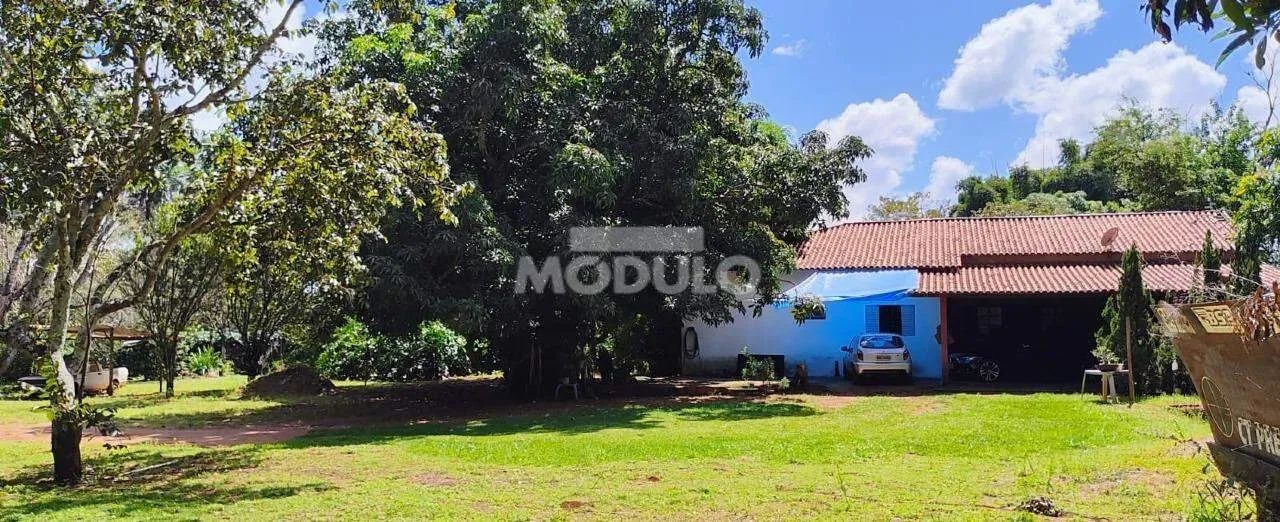 Chácara a venda no Panorama com 5 mil m² - Foto 4
