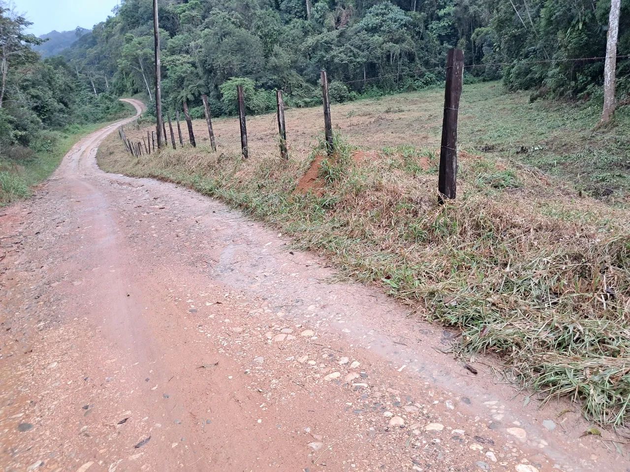 Vendo sitio  em 7 barras sp  barato  - Foto 4