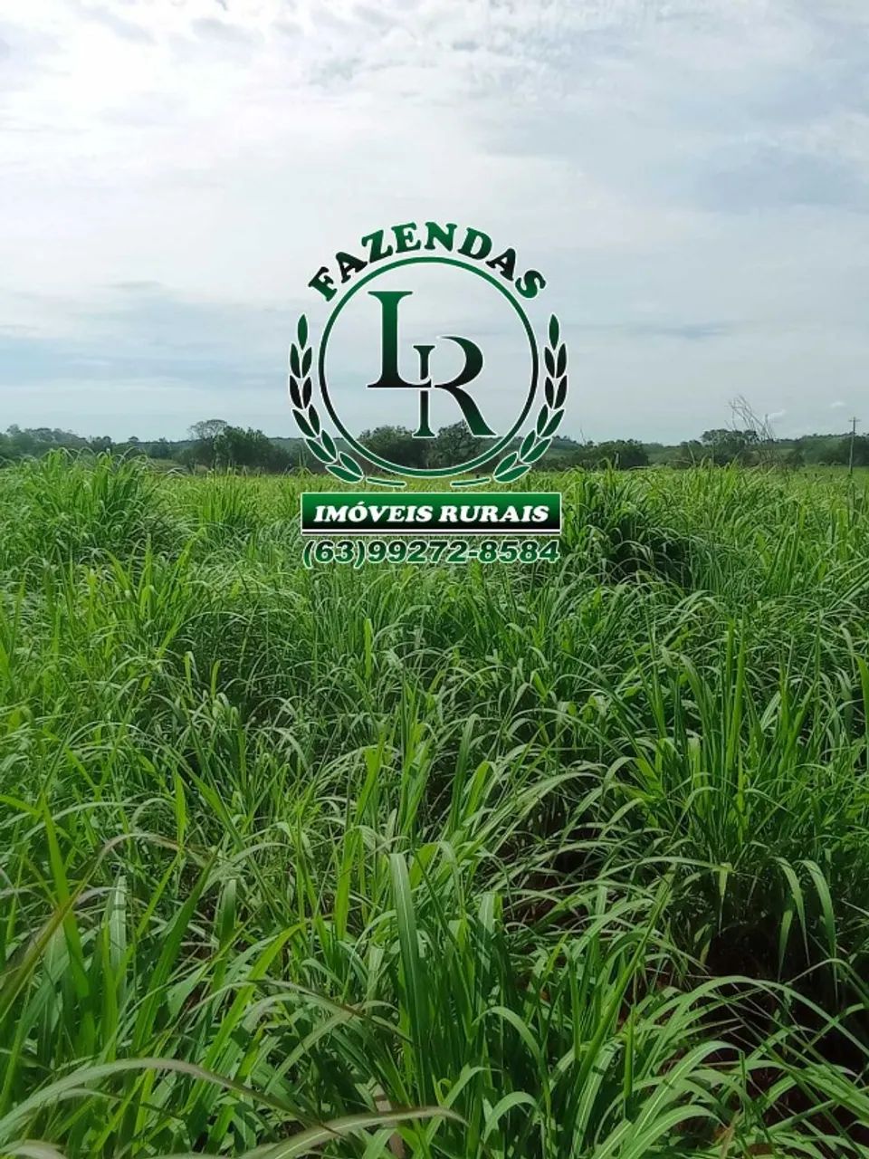 Oportunidade Chácara de 34 Hectares Próximo de Palmas, 