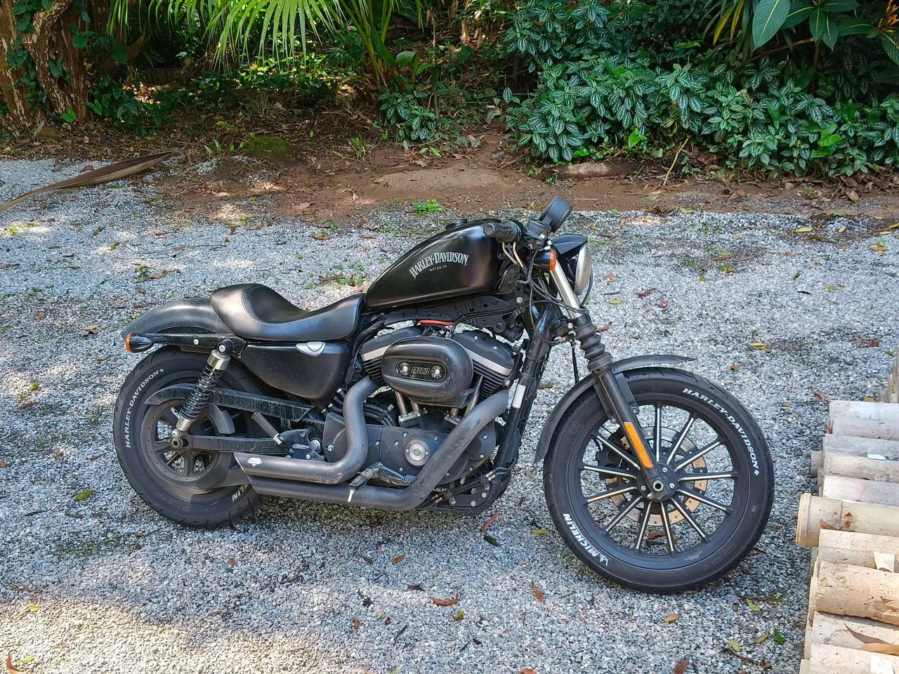 Harley Davidson 883 