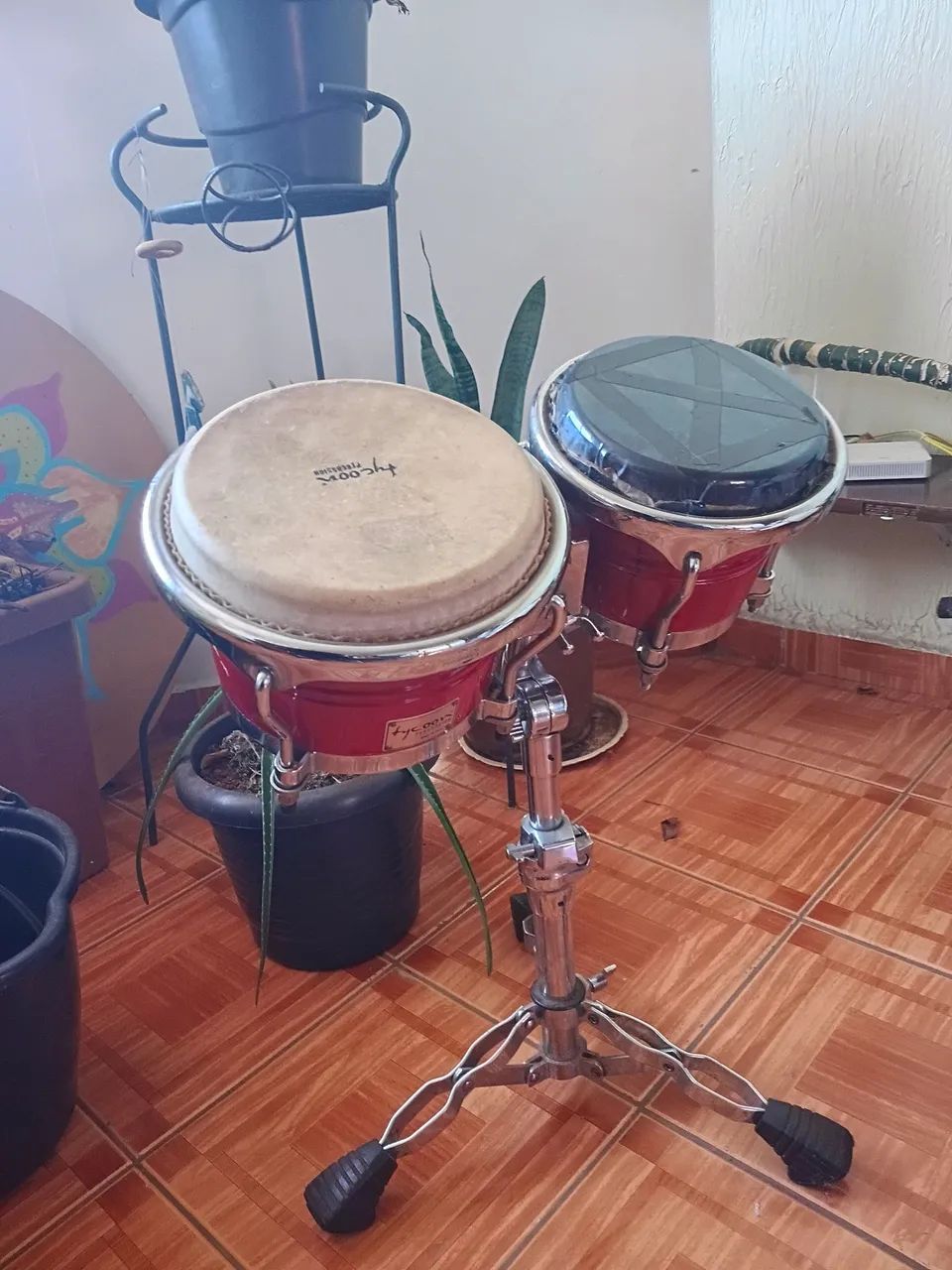 Bongô da Tycoon Percussion