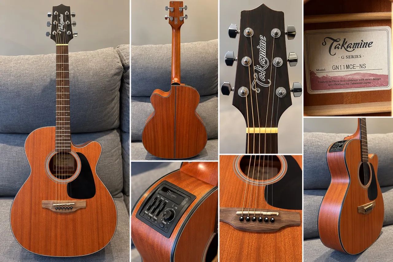 Takamine 