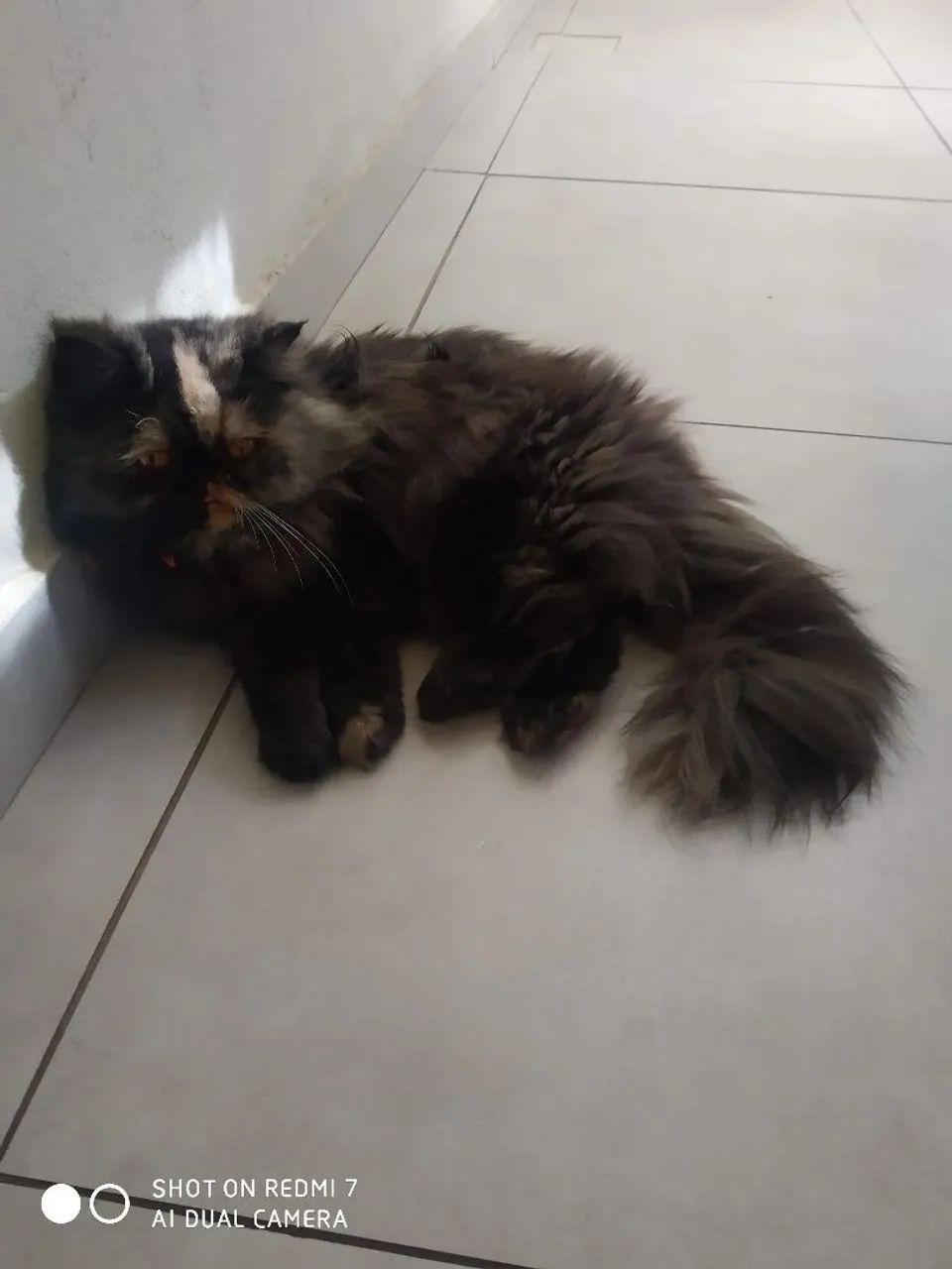 Vendo ou troco - Foto 2