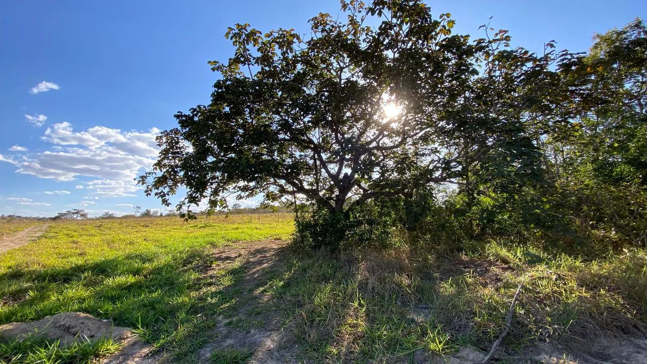 Chácara de 20mil mt. Com rio passa 4 cercadas e com energia! - Foto 4