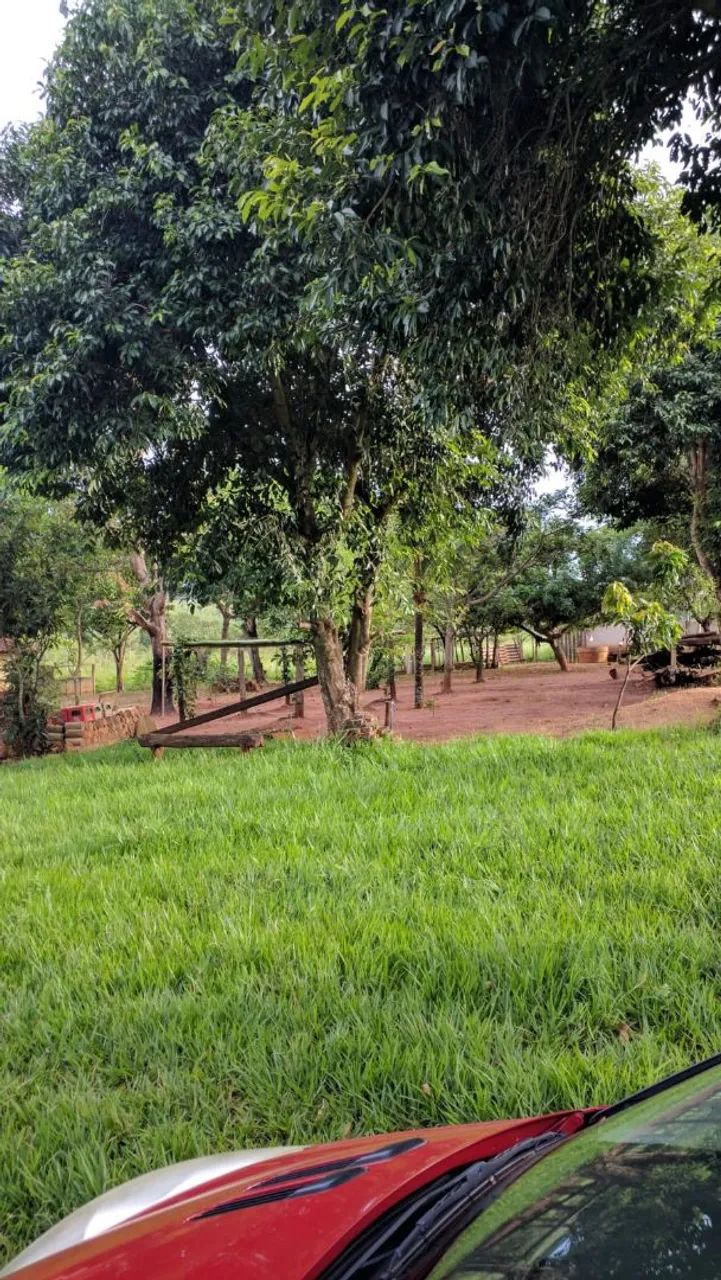Fazenda a venda 