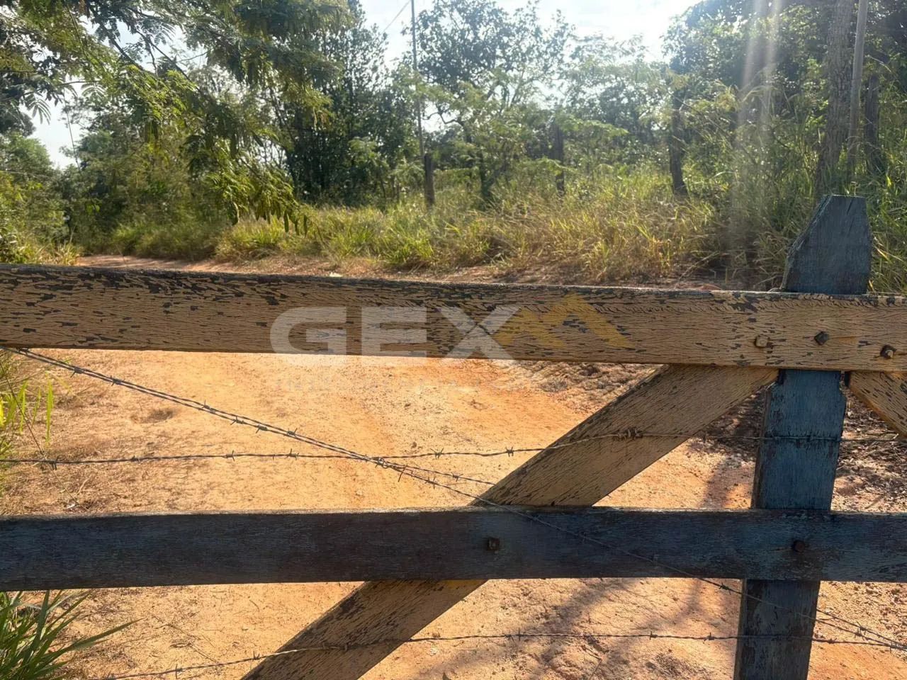 Sitio à Venda no Bairro Realengo em Divinópolis MG. - Foto 4