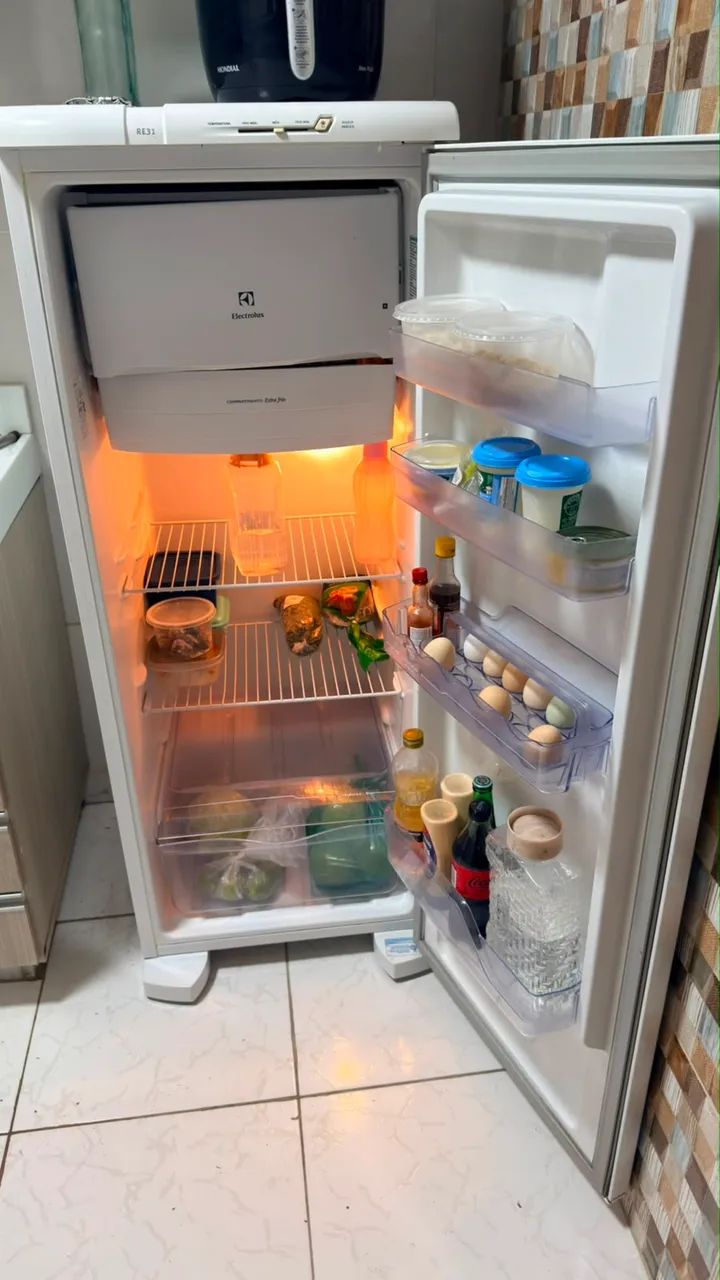 Geladeira Electrolux Semi-Automatico RE31/127V - Geladeiras e