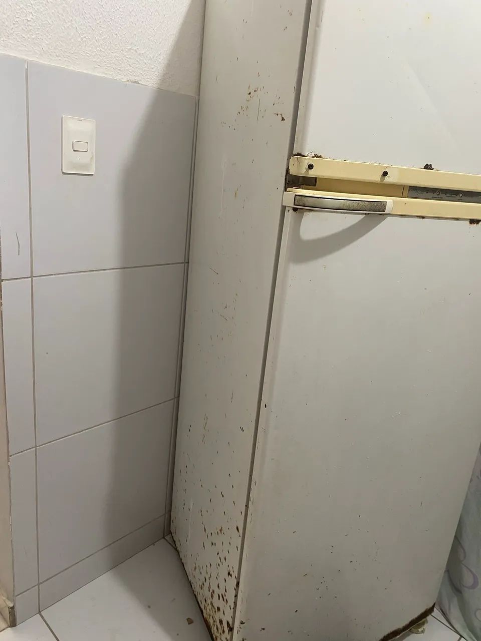 Geladeira  - Foto 2