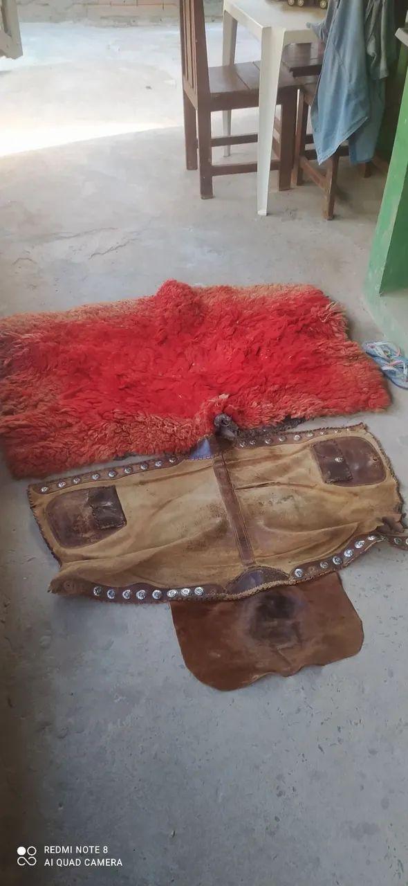 Traia de arreio - Foto 4