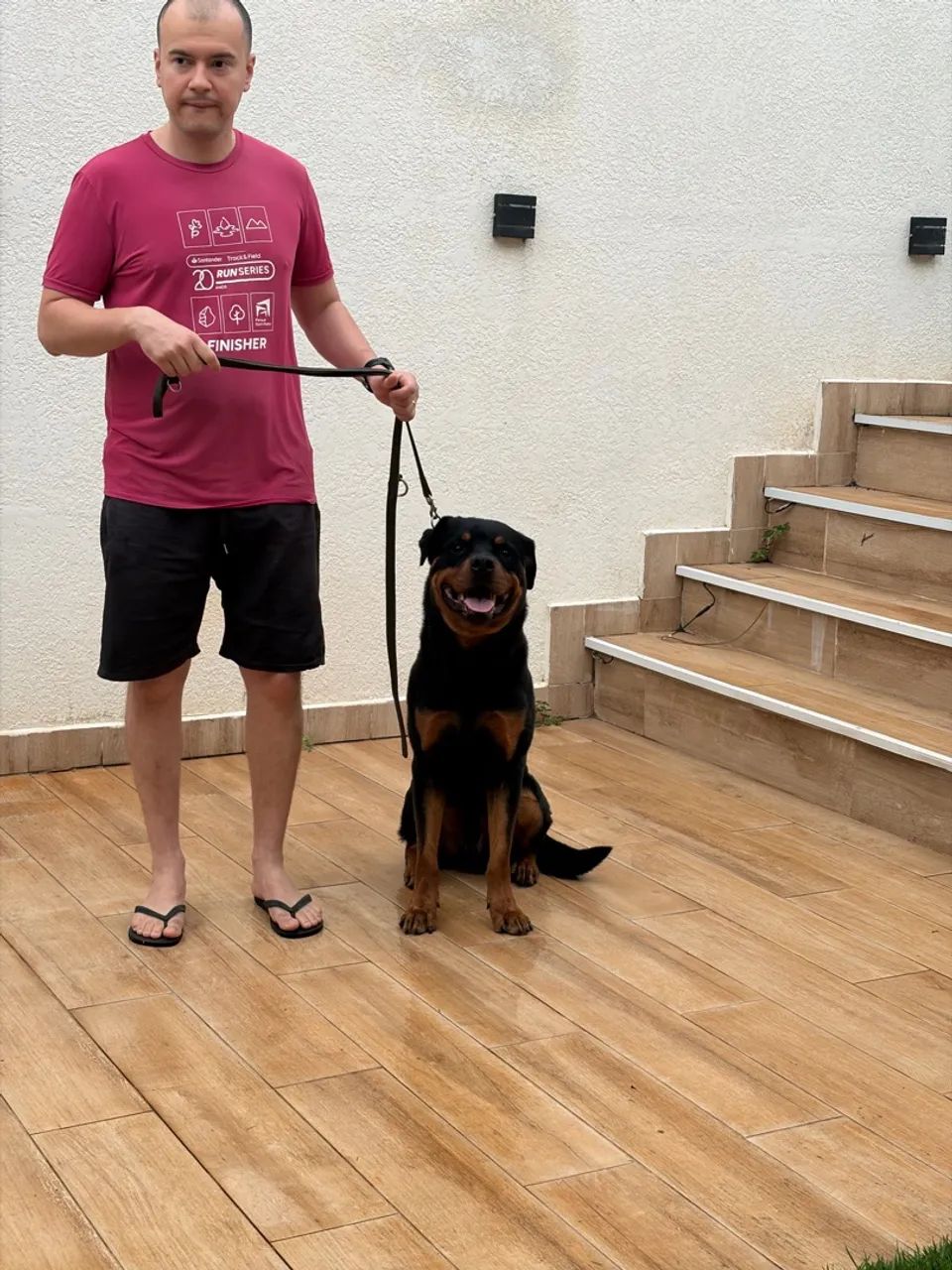 Doação Responsável - Rottweiler - Foto 4