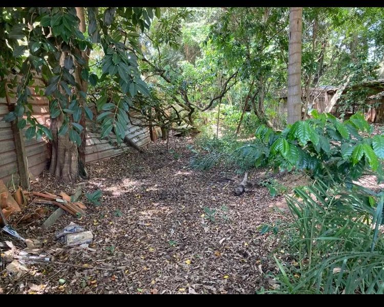 Lote  - Foto 4