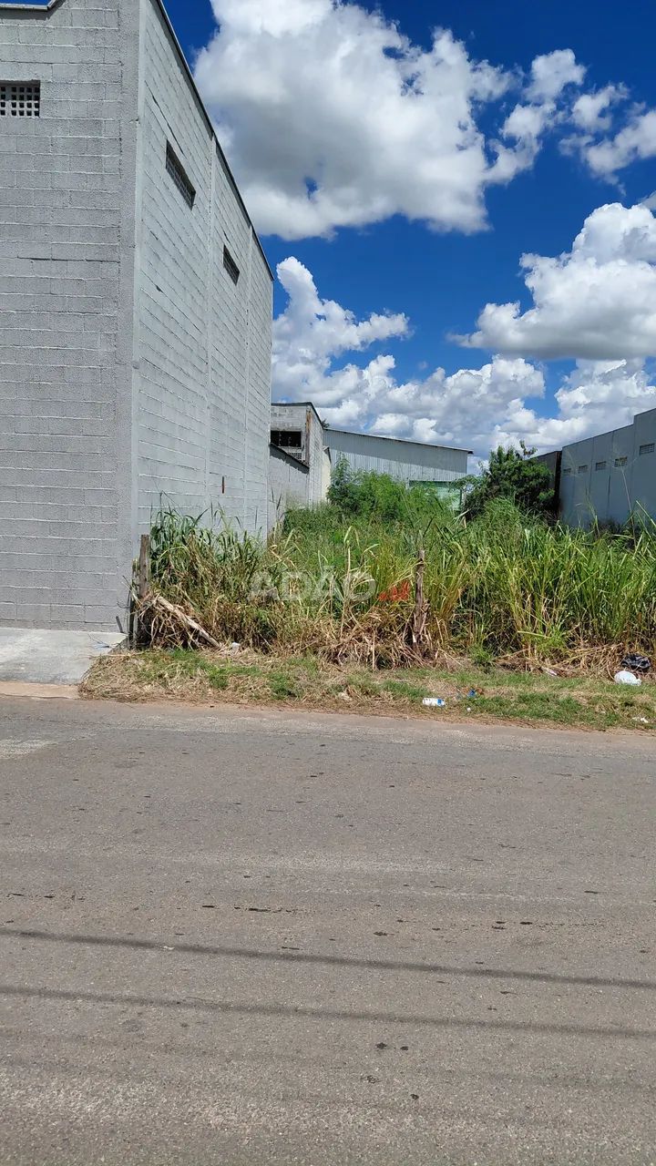 Lote proximo BR 153 - Foto 4