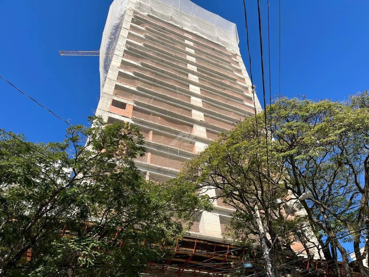 apartamento - Cambuí - Campinas - Foto 2