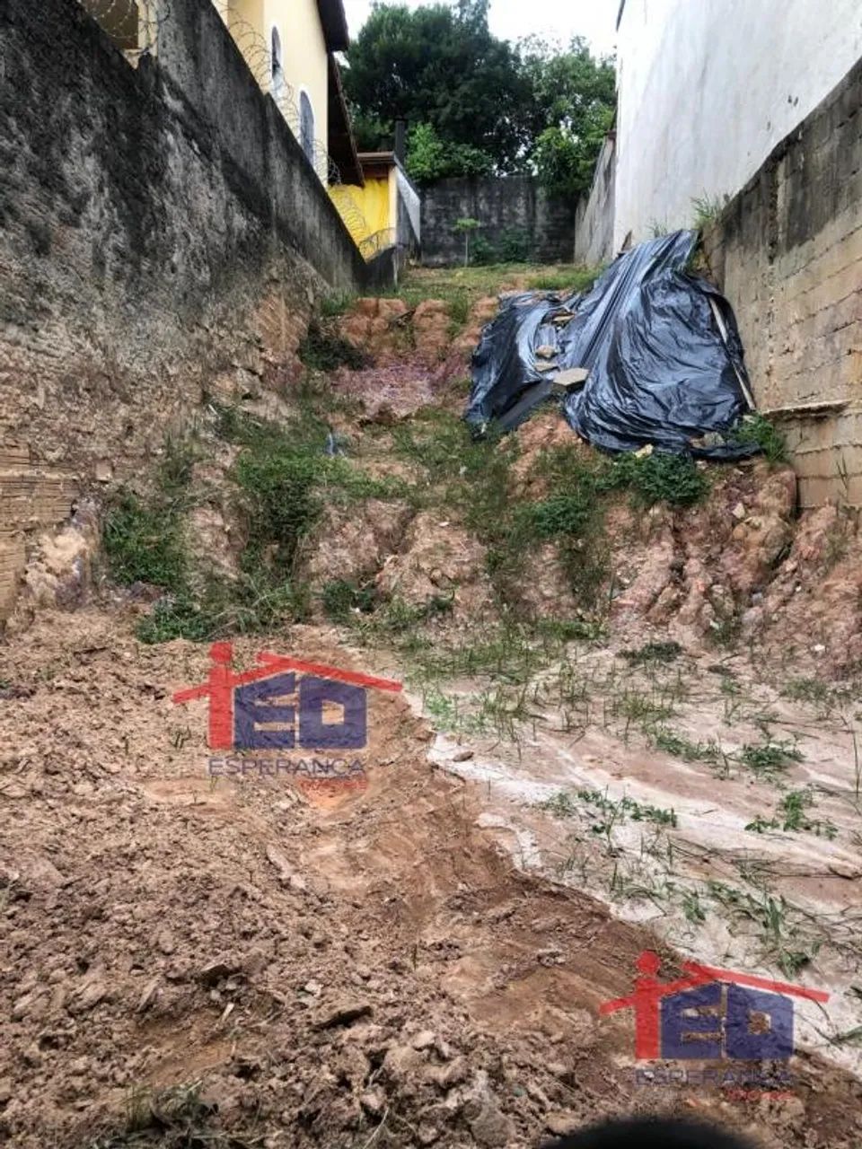 Residencial - Jardim Cipava - Foto 2