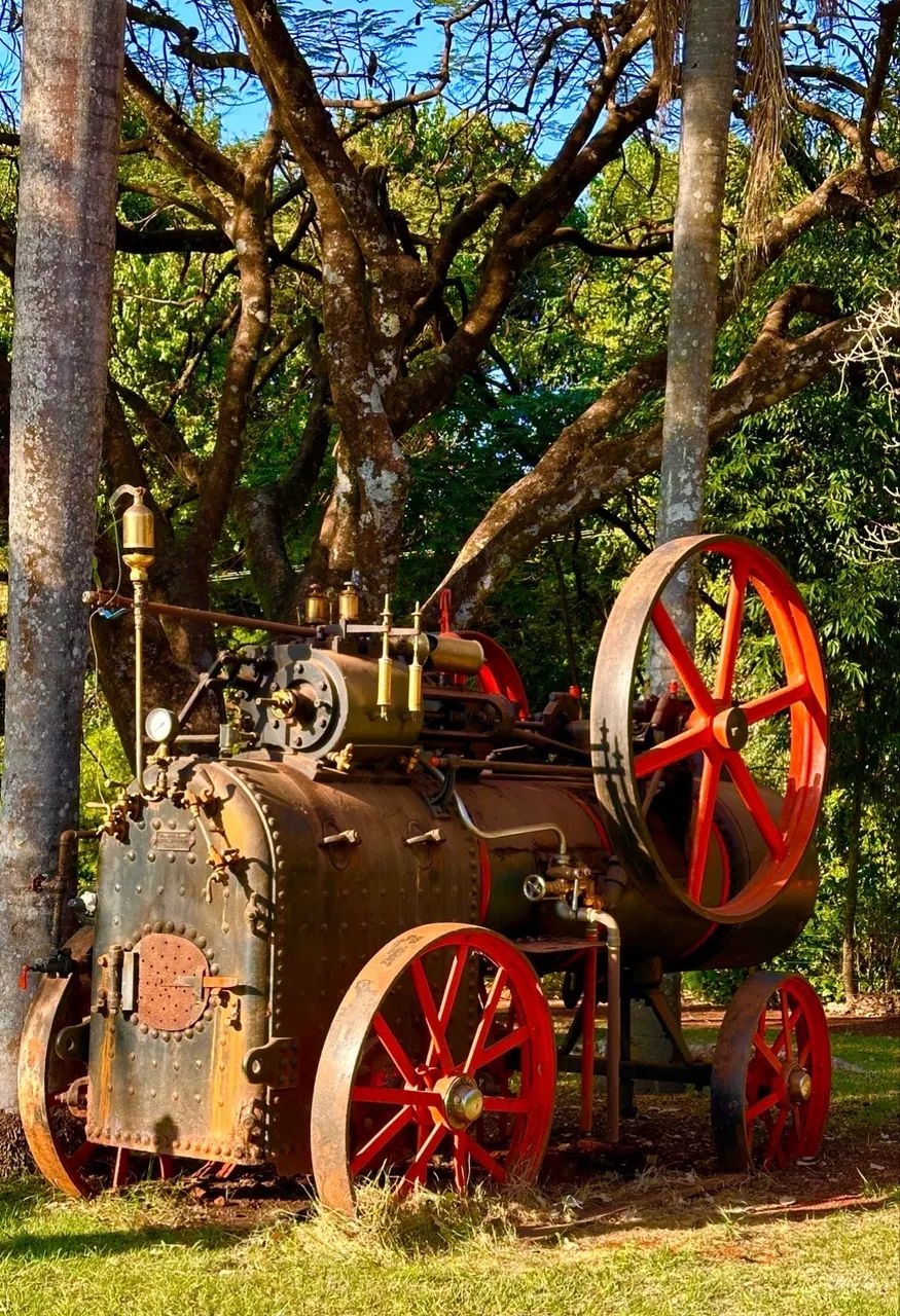 À VENDA - Rara Locomóvel à vapor TH. FLOETHER 1911