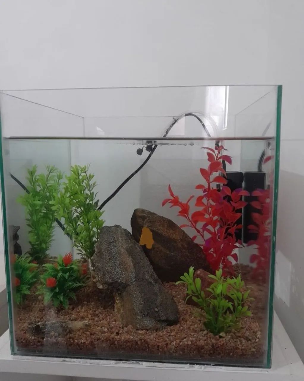 Aquário  - Foto 2