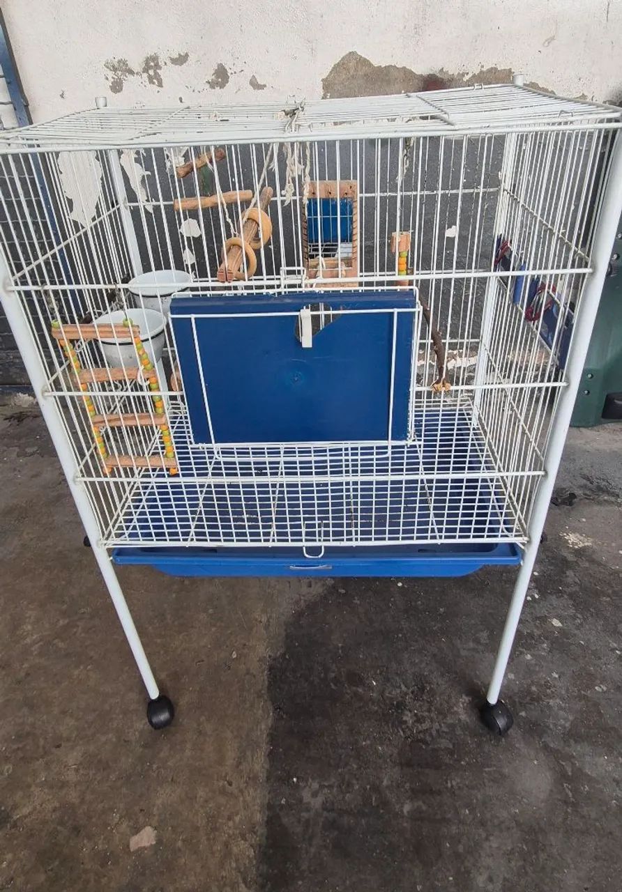 Gaiola pássaros 300,00 cada