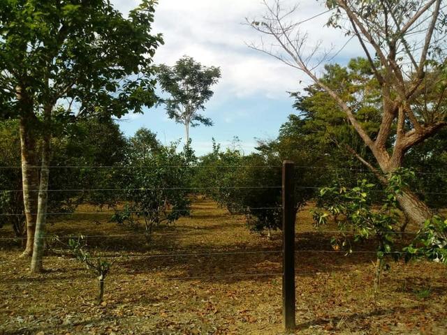 Chácara:Venda ou troca - Foto 2