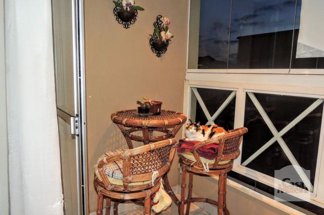Apartamento à venda com 4 dormitórios em Buritis, Belo horizonte cod:257936 - Foto 6
