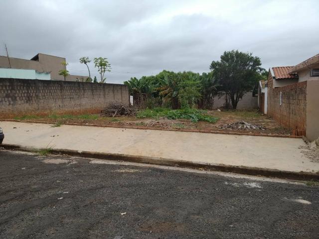 Terreno grande(490m²), com escritura, bairro Santo Expedito em JALES SP - Foto 5