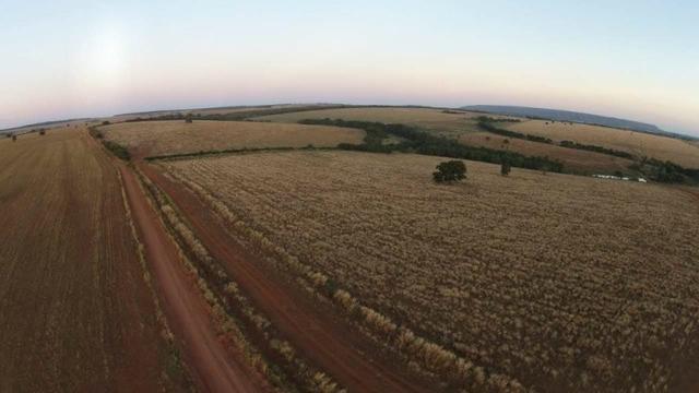 ID.12 Fazenda 190 alq. Para Lavoura á venda em Caldas novas-Go - Foto 9