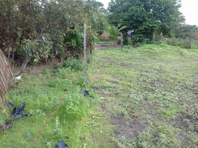 Vendo 2 Terrenos em Salinópolis-PA - Foto 3