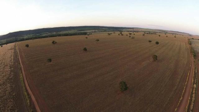ID.12 Fazenda 190 alq. Para Lavoura á venda em Caldas novas-Go