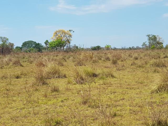 Fazenda 10000 hectares - Corumbá-MS - F120119 - Foto 12