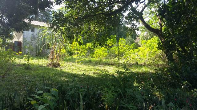 Lindo sítio em Guapimirim - Limoeiro oportunidade!!! - Foto 7