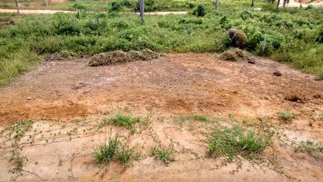 Vendo Ótimo terreno na praia de Japaratinga-AL - Foto 3