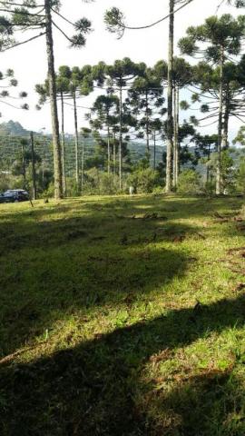 Terreno à venda, 810 m² por r$ 550.000 - Foto 2