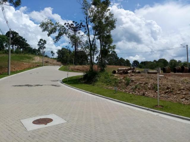 Terreno à venda, 596 m² por r$ 297.234,05 - prinstrop - gramado/rs - Foto 6