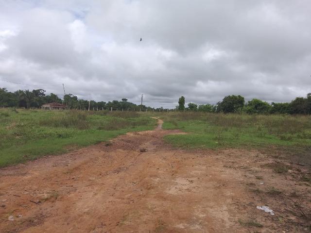 Imperdível !! Vendo somente 76 alq. (Total 360 alqueres) Regiao de Marabá