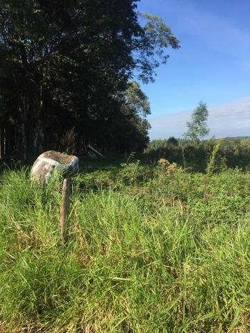 Terreno em Estancia Velha 1.000 mil metros com escritura, financiado direto