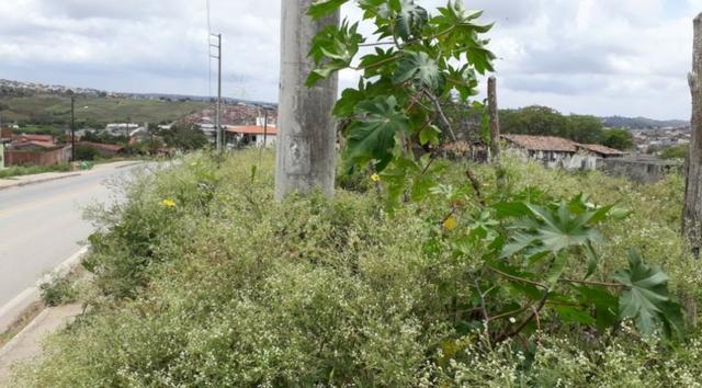 2 Lotes Com ótima Localização - Gravatá/PE / Propriedade ID : L0483 - Foto 10