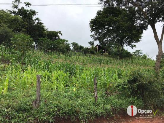 Chácara com 2 dormitórios à venda, 10000 m² por r$ 180.000,00 - residencial são vicente - - Foto 5
