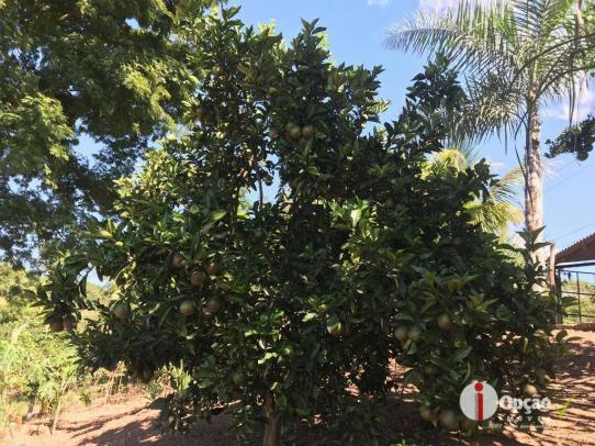 Chácara com 2 dormitórios à venda, 10000 m² por r$ 180.000,00 - residencial são vicente - - Foto 19