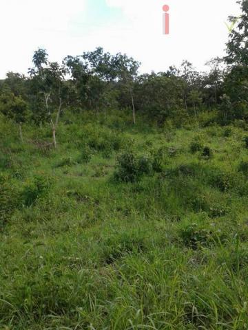 Chácara à venda, 24400 m² por R$ 115.000,00 - Zona Rural - Pirenópolis/GO - Foto 6